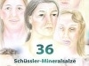 RS_schuessler