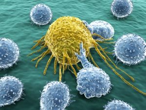 Krebszelle und Lymphozyten © Juan Gärtner - Fotolia.com