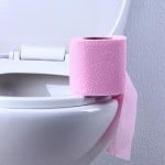 Eine gesunde Darmfunktion – aber natürlich! Toilet paper on a toilet, close-up