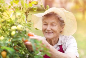 Mit Köpfchen kochen und Alzheimer vergessen