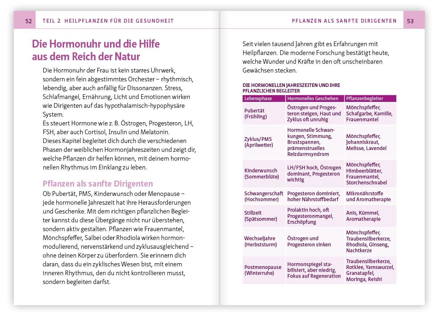 Mönchspfeffer, Frauenmantel & Co. – Bild 3