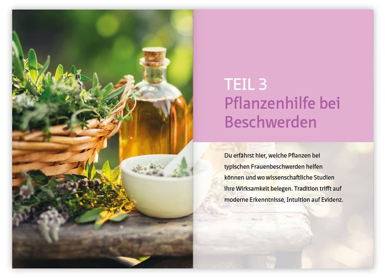 Mönchspfeffer, Frauenmantel & Co. – Bild 5